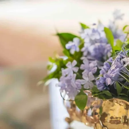 Ginny's House- Borgo La Croce Luxury * Florence
